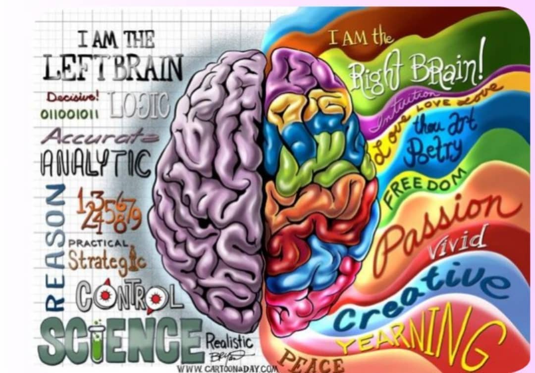 راهکارهایی جهت تقویت نیم‌کره چپ مغز