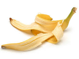 پاسخ فعالیت‌های درس‌های 13 و 14 علوم دوم دبستان