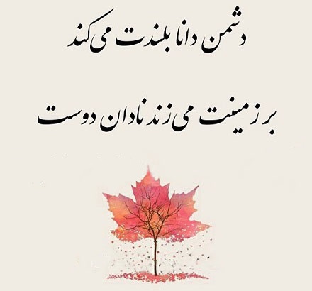 ضرب المثل «دشمن دانا بلندت میکند بر زمینت می‌زند نادان دوست»