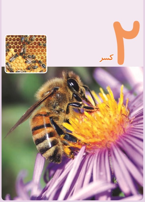 درسنامه فصل دوم ریاضی پنجم دبستان (تقسیم کسرها)