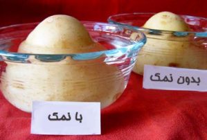 آزمایش سیب زمینی نمکی