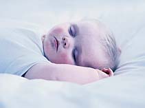 رؤیای شیرین مغز من