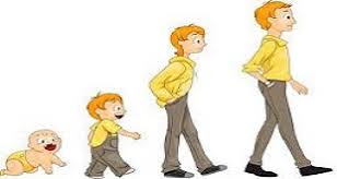 خلاصه درس من رشد میکنم