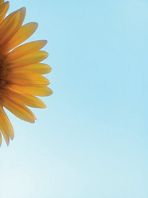 درس یک تا چهار _درسنامه هدیه‌های آسمانی ششم دبستان_صالح احصایی