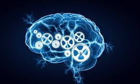 تحلیل سوالات دفترچه هوش و استعداد پنجم دبستان - بخش چهارم