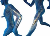 فیزیوتراپی : نمره لازم برای قبولی + آمار چند تا از 10 تا