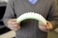 ساخت سیستم زرهی نفوذ ناپذیر با الهام از ماهی، مار و پروانه