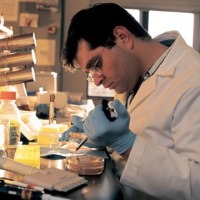 یافته‌های محققان ایرانی برای بهبود مقاومت کامپوزیت سرامیک