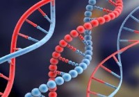 ذخیره تمام اطلاعات کره زمین در یک قاشق چای‌خوری DNA