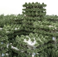 خانه‌هایی که فقط با بامبو و طناب ساخته می‌شوند