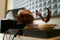 ضبط موسیقی جمجمه انسان