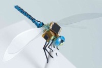 با نخستین سنجاقک جاسوس جهان آشنا شوید