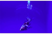 رباتی با انگشت آبکی