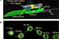 سفره ماهی رباتیک اقیانوس‌ها را جست‌وجو می‌کند
