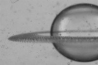 شبیه سازی نسخه‌های مینیاتوری از سیاره زحل در قطره‌های آب