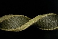 پارچه ای از جنس رایانه !