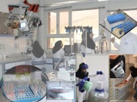 اعتبار جهانی بانک میکروارگانیسم های مرکزملی ذخایرژنتیکی ایران