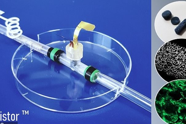 پرورش سلول‌های اعضای بدن روی یک تراشه