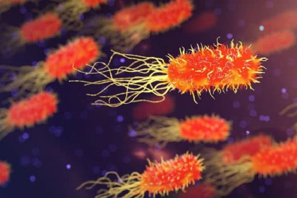 کشف باکتری‌های خطرناک با گوشی ممکن شد