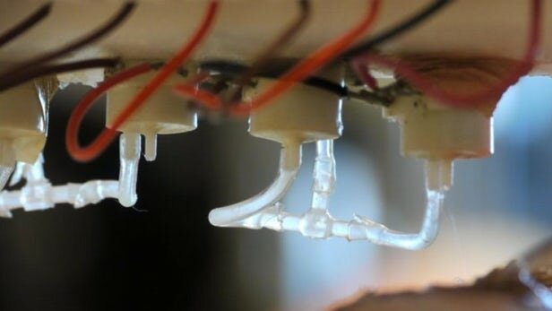 چاپگرسه بعدی که برای ترمیم زخم،ازسلولهای خودبیماراستفاده میکند