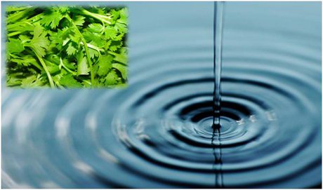 ساخت نانو ذره‌با قابلیت حذف همزمان آلودگیهای میکروبی و شیمیایی