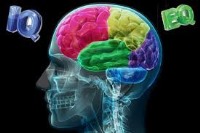 افزایش هوش هیجانی فرزندان با اظهار همدردی والدین