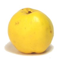 میوه "به" و خواص آن