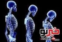 راز استحکام استخوان‌های بدن کشف شد