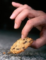 خوردن غذایی که روی زمین افتاده درست است؟