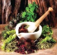 خطر مسمومیت با مصرف خودسرانه گیاهان دارویی