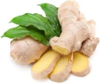 زنجبیل سموم بدن را از بین می‌برد