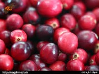 آب قره‌قاط و خواص جالب آن