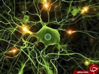 تابستان خطر حمله "ام اس " را زیاد می‌کند