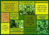 آشنایی با خواص شنبلیله و تخم شنبلیله