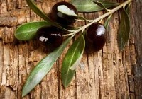 عصاره شفا بخش برای درمان فشار خون