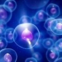 آخرین یافته‌های علمی سلول‌های بنیادی عصبی دردرمان ام اس