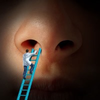 ساخت آنتی بیوتیک از ترشحات داخل بینی