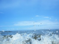 مسافران شمال حتما بخوانند