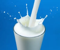 آیا خوردن شیر و ماست موجب سنگ کلیه می‌شود؟