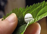 تولید داروی گیاهی برای کم‌خونی از سوی محققان کشور