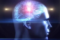 ایا بهترین زمان عملکرد مغز را میدانید؟