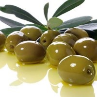 مهار سندروم روده تحریک‌پذیر با زیتون سبز