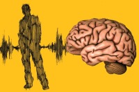 راست مغز هستید یا چپ مغز؟