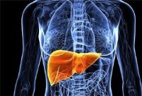 لکه‌های قهوه ای پوست نشانه ای از سمیت کبد است