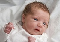 استرس هایی که سد راه تکامل نوزاد هستند