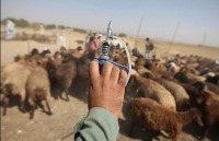 تولید واکسن تب برفکی به اندازه نیاز کشور