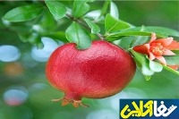 آشنایی با خواص شگفت‌انگیزِ آب انار