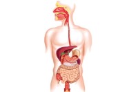 این علائم حکایت از انسداد اصلی‌ترین عضو بدنتان دارد !