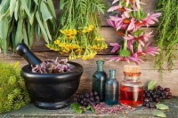 این مُسکن‌های گیاهی بدون عوارض اند