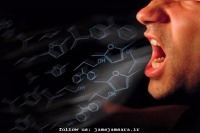 با این خوراکی‌ها دهانتان را خوشبو کنید !